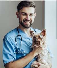 Круглосуточная ветеринарная помощ