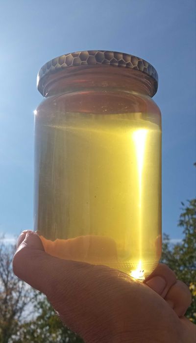 Пчелен прашец (реколта 2025г.)