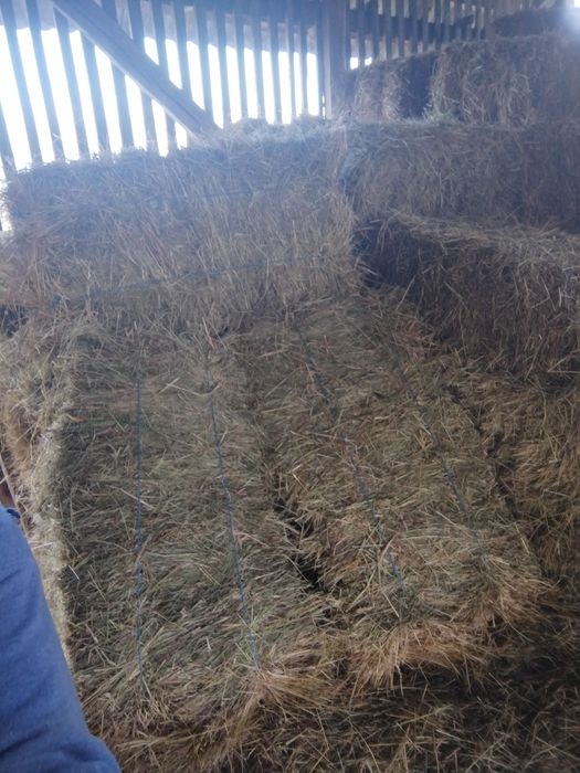 Vind baloți otavă și fin dreptunghiulari