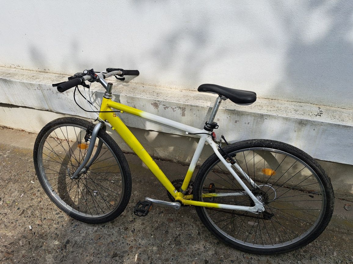 Bicicleta de oras