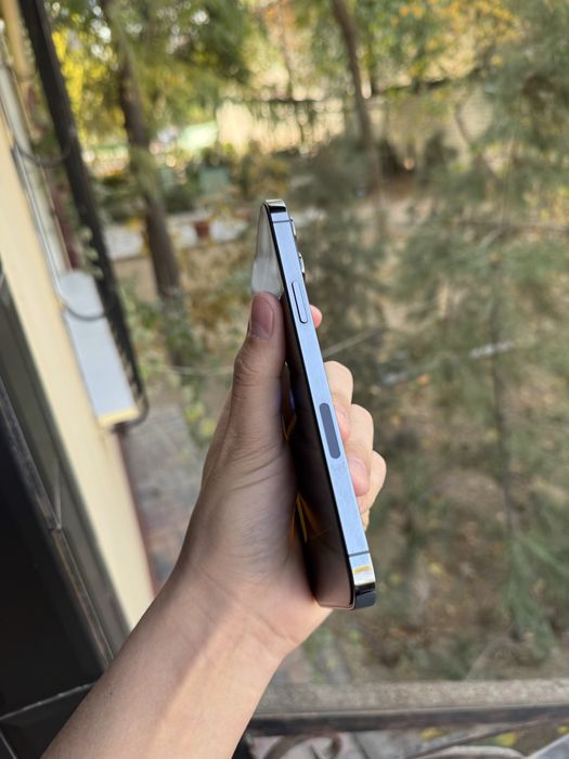 iphone 13 Pro Max 256 Gb