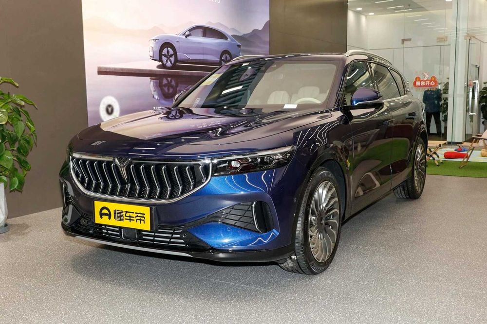 Voyah Free 318km RWD