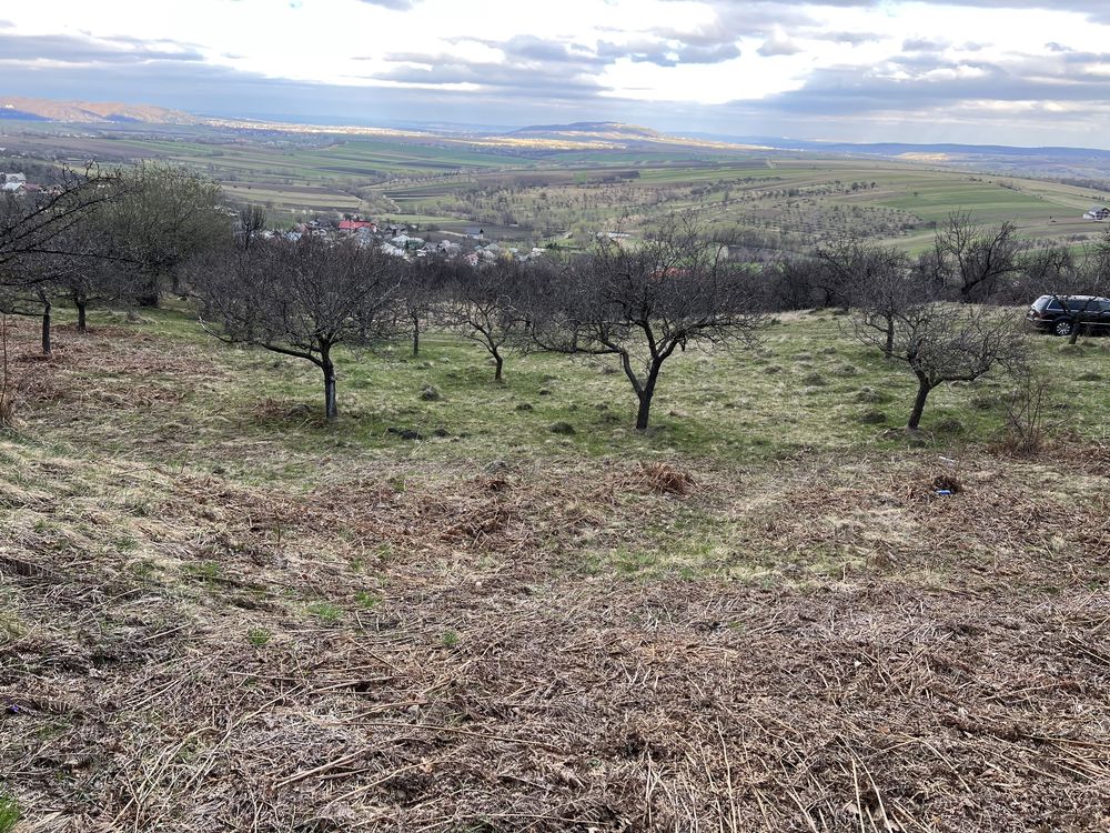 Teren intravilan Filioara