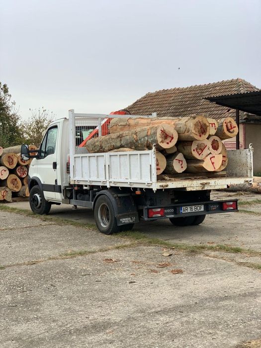 Închirieri și transport – camioane și camionete cu macara