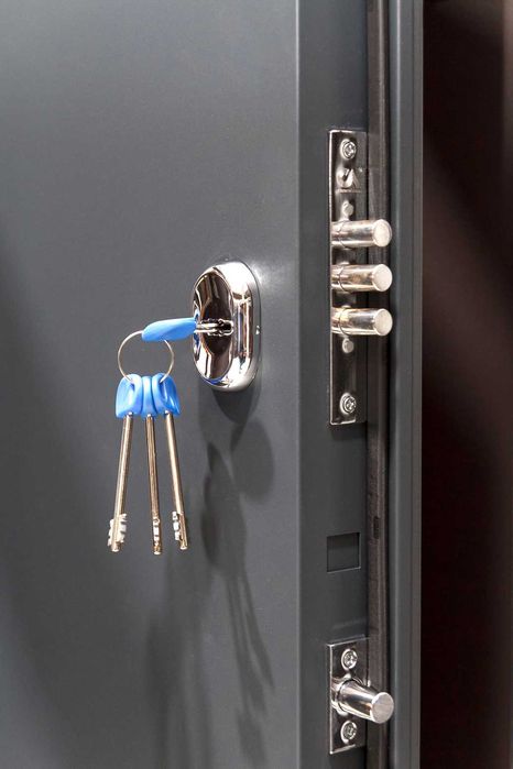 Usa metalica apartament - modern decor