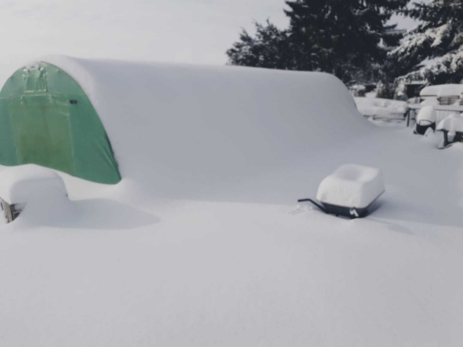 Solar de Gradina teava galvanizata folie armatura !! AB