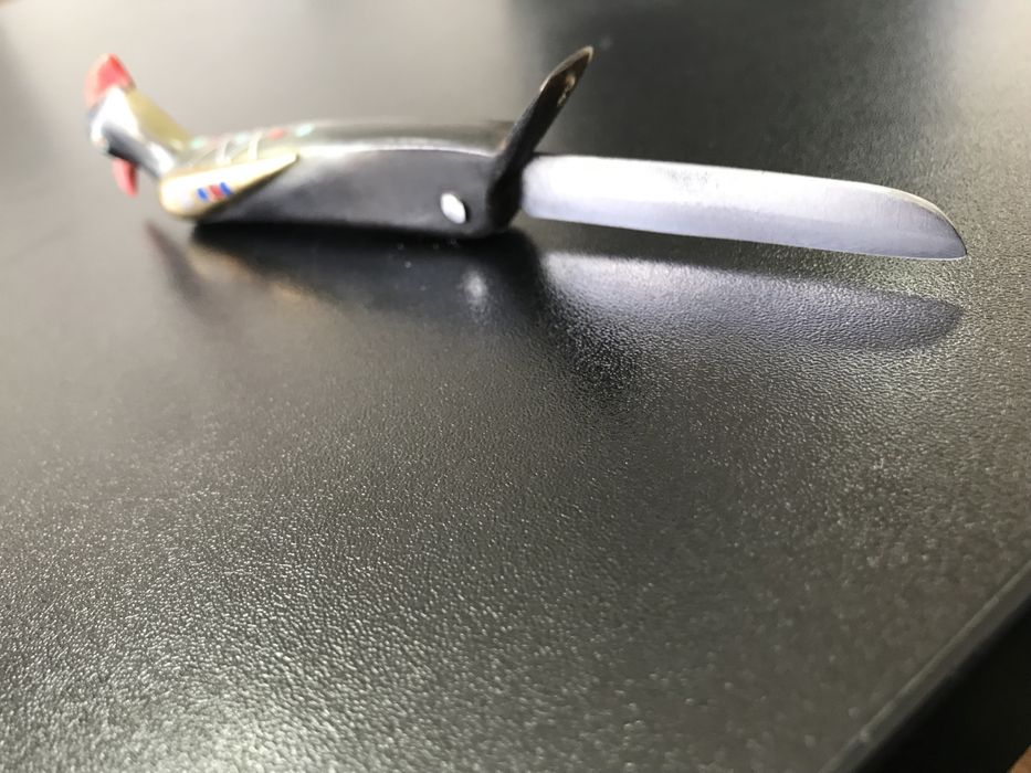 Briceag cutit in forma de pasare