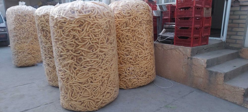 Kukuruz keloli sotamiz