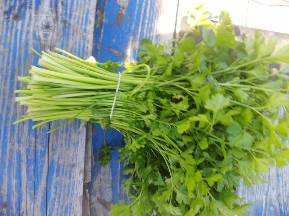 Vand pătrunjel verde