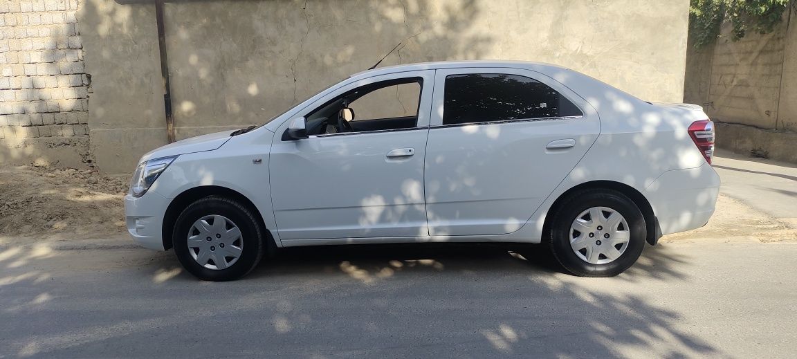 Cobalt 2019 kapot krilo kraska