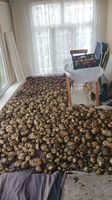 Срочна Прадам зимни дачу