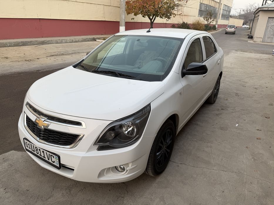 Cobalt Midnight 2025