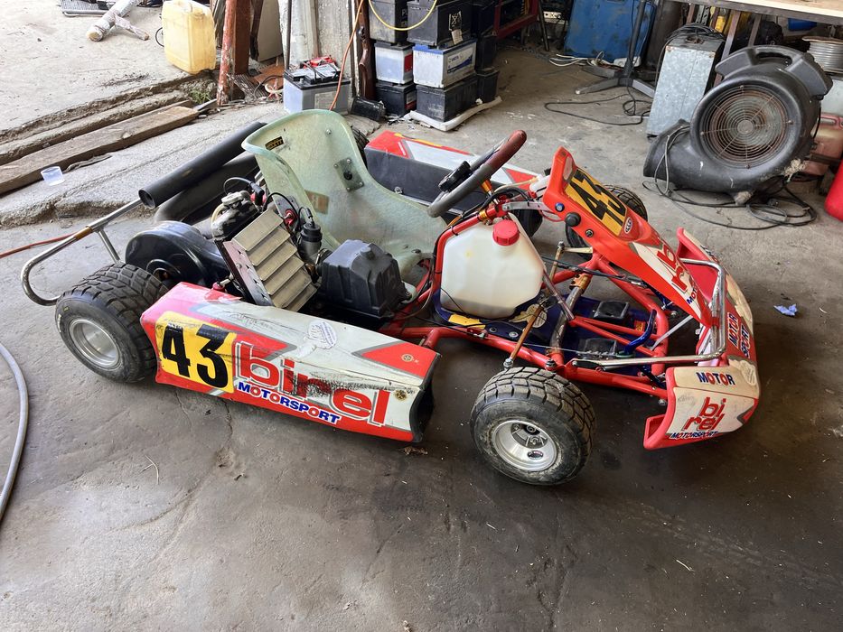 Картинг ROTAX 125 кубика