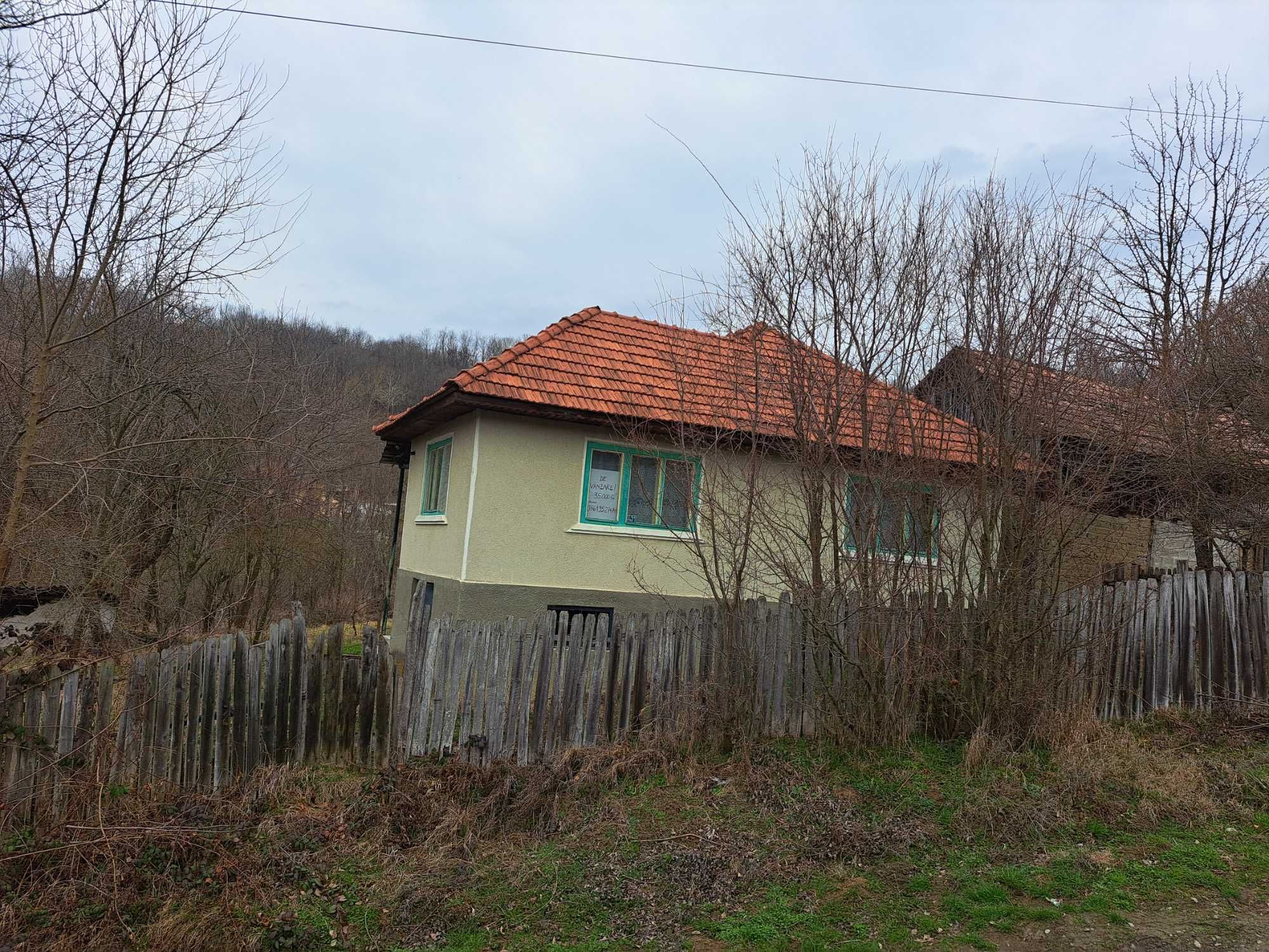 Casa de vanzare cu gradina