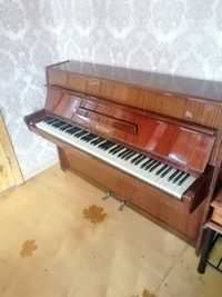 Пианино Petrof. Инструмент для профессионалов.