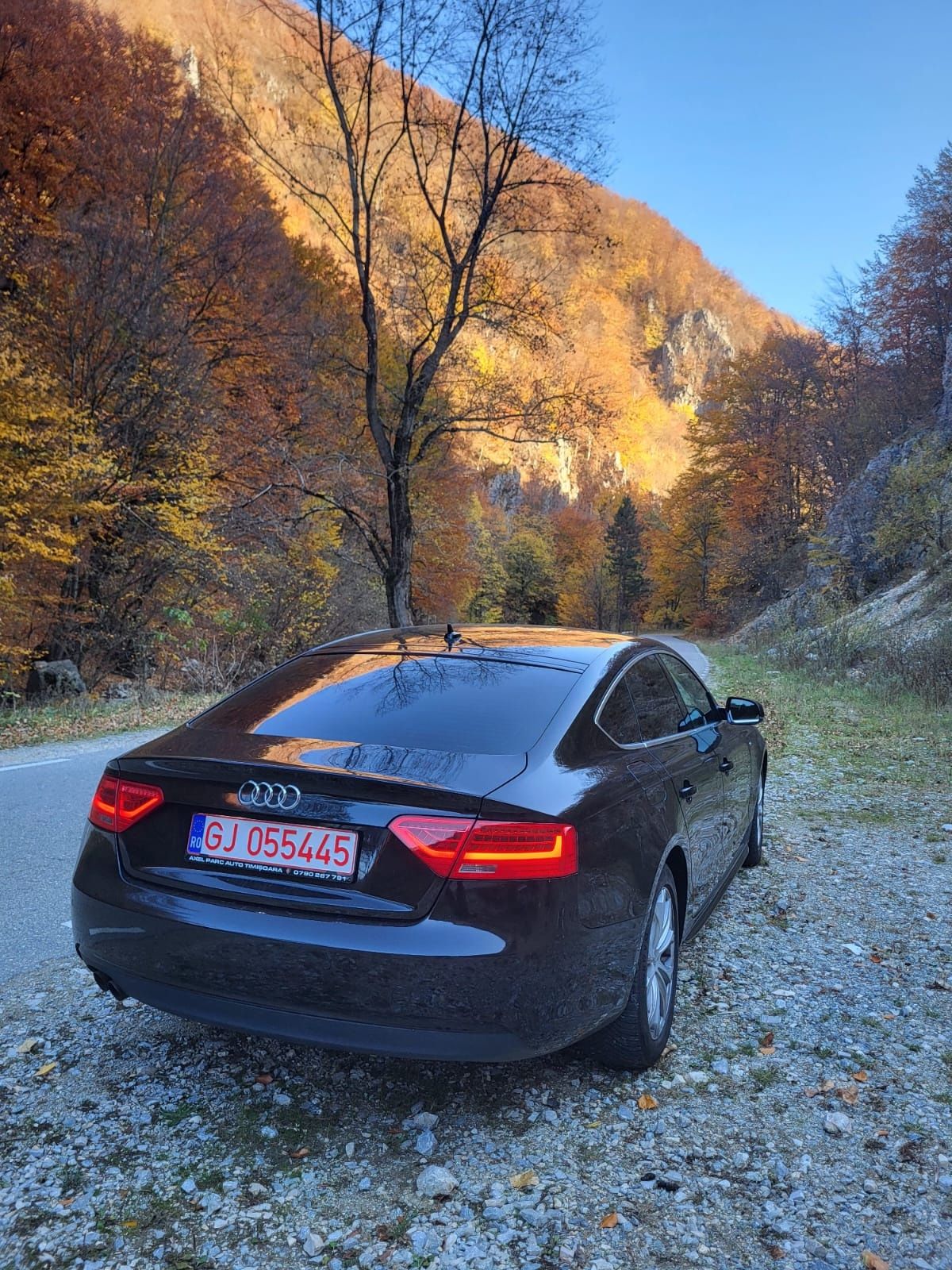 Vand Audi A5 sline
