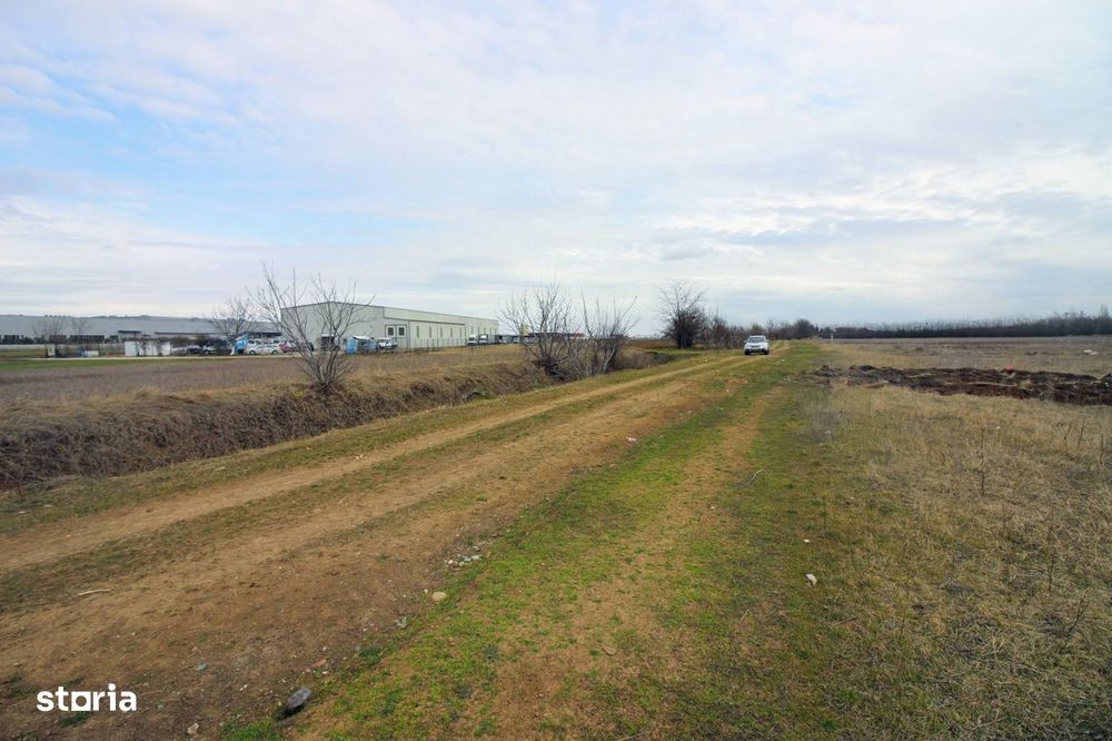 Teren intravilan 3.500 mp – Jebel, la 20 min de Timișoara