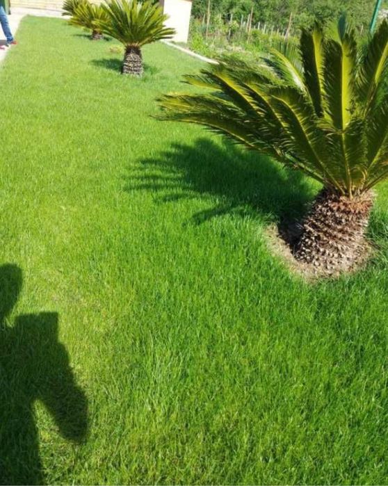 Gazon rulou si sisteme irigati automatizate oriunde in tara