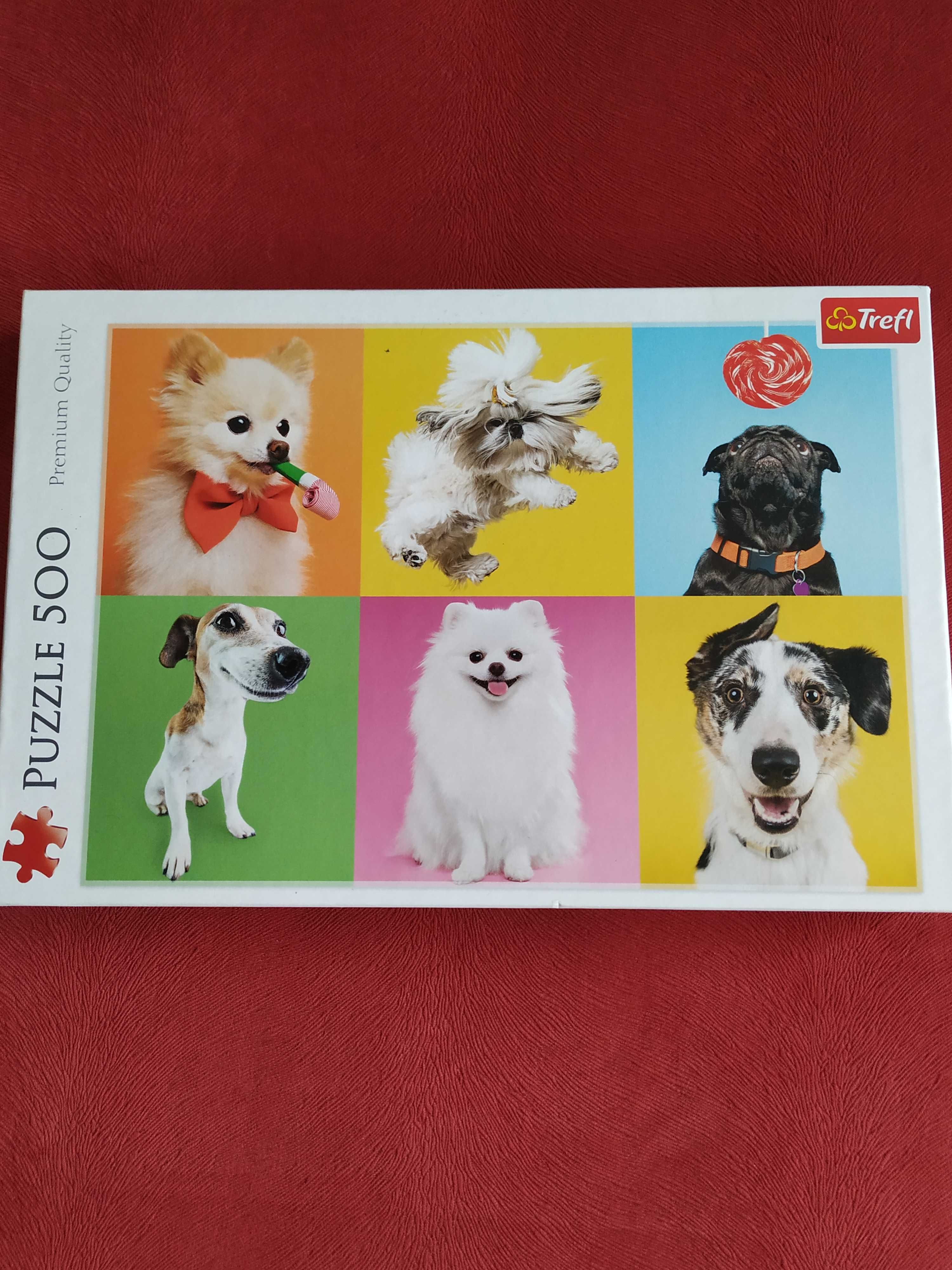 Puzzle pentru cei mici și cei mari