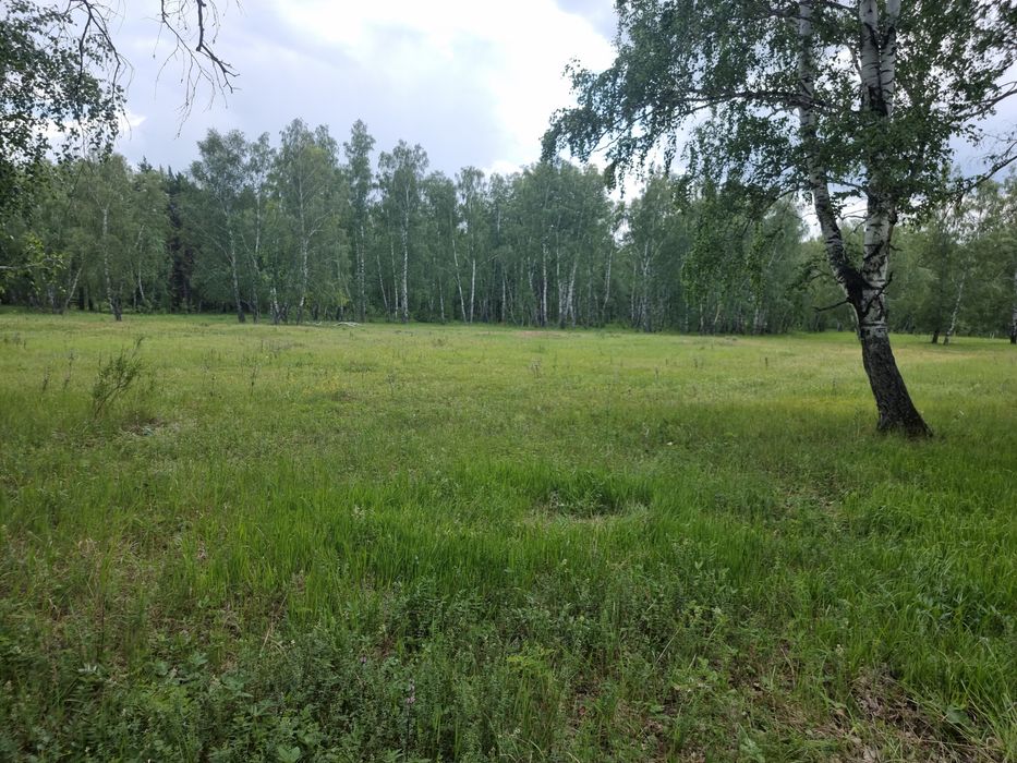 Продам земельный участок