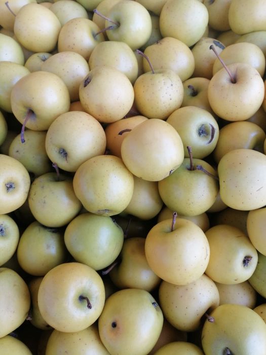 mere romanesti 3 lei