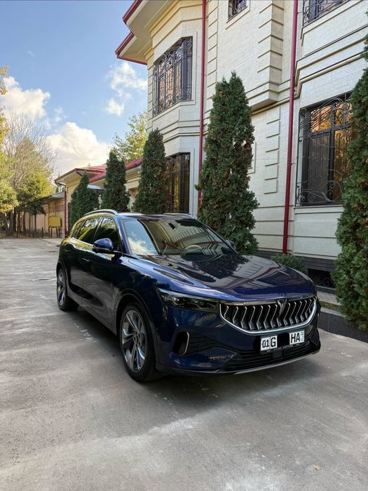 Voyah. Free. 24.300.s