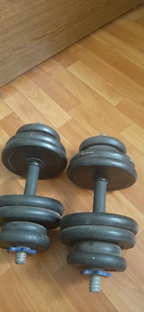 Гантели разборный