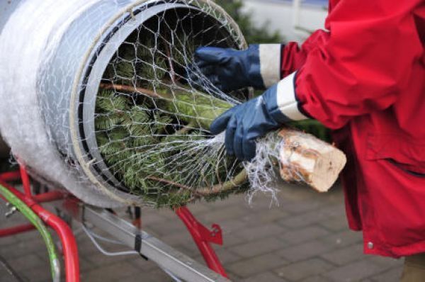 Tub de împachetat brazi