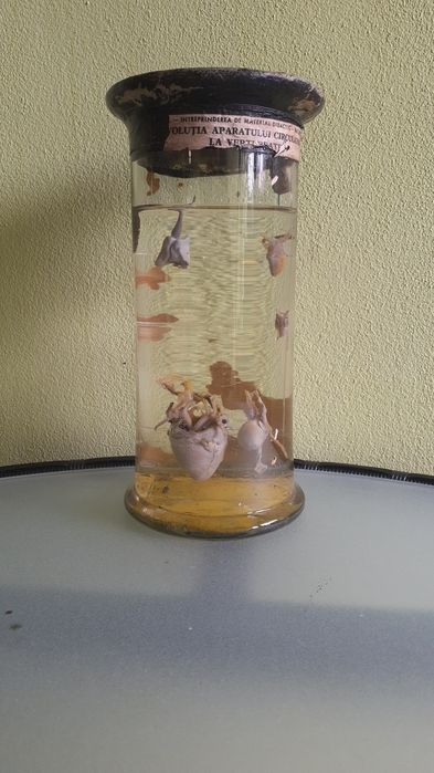 Obiecte de colectie