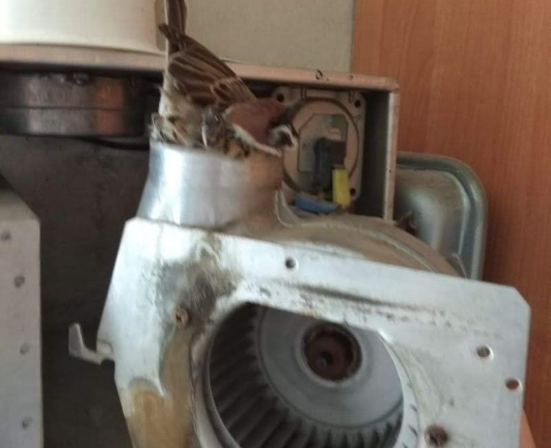 Ремонт двухконтурных котлов любой марки