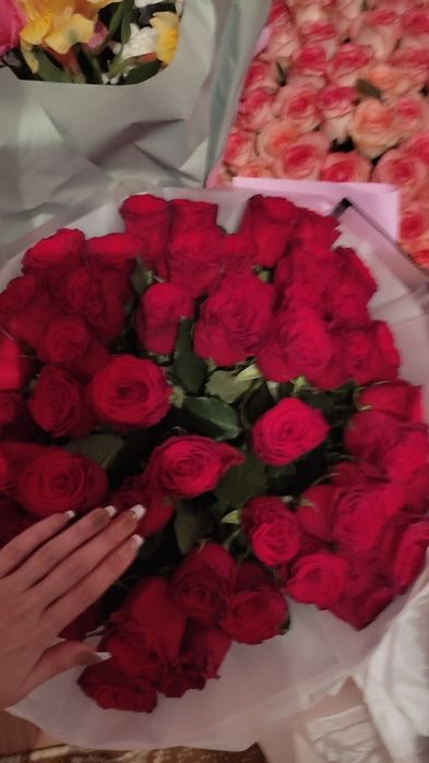 51 красных роз за 20к