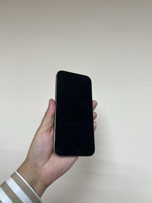 16 pro max 256 gb
