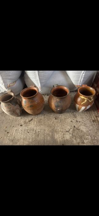 Cani oale din pamant