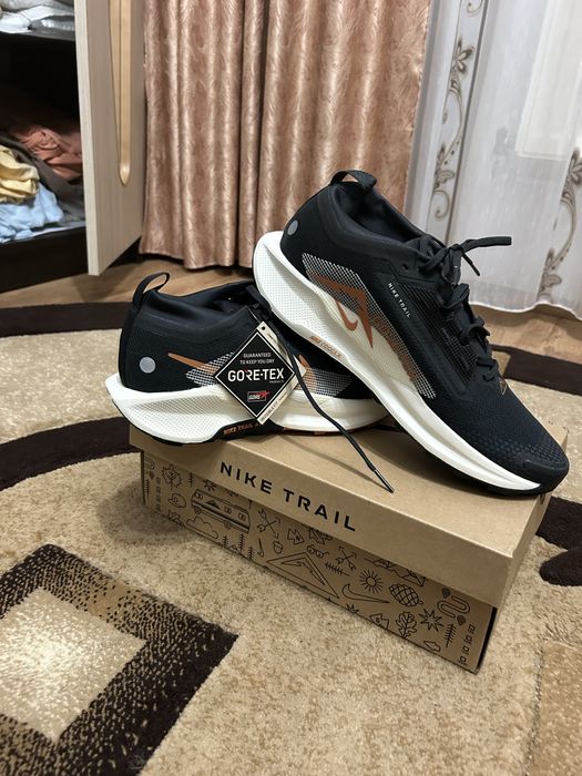 Nike pegasus trail 5 Gtx