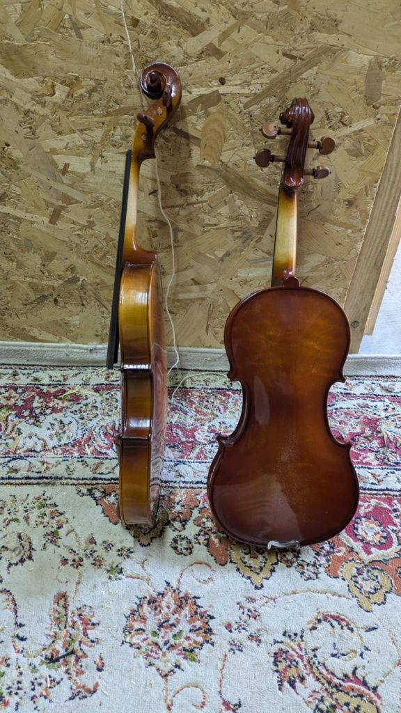 Viori de vanzare