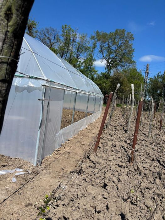 Execut SOLARII LA GATA (de la A la Z)