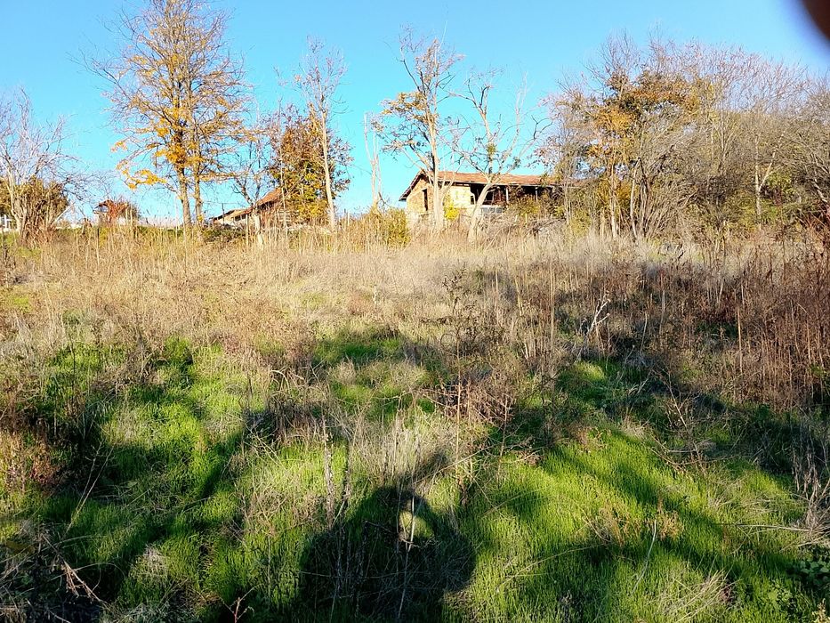 Двор в село Пдем