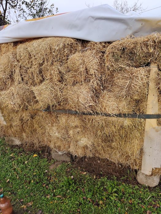 Baloti fan și lucerna