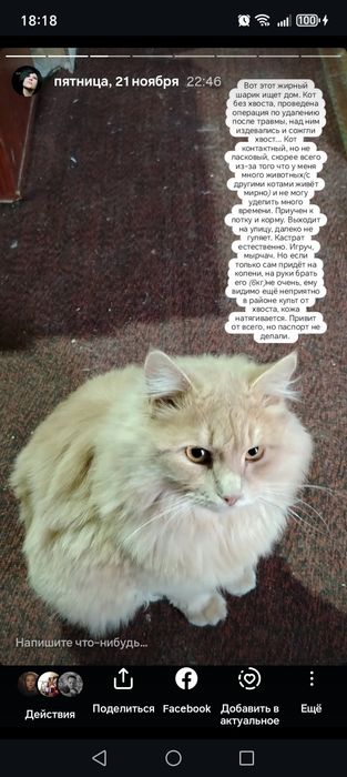 Отдам в добрые руки