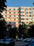 Apartament 4 camere.  Teiul doamnei