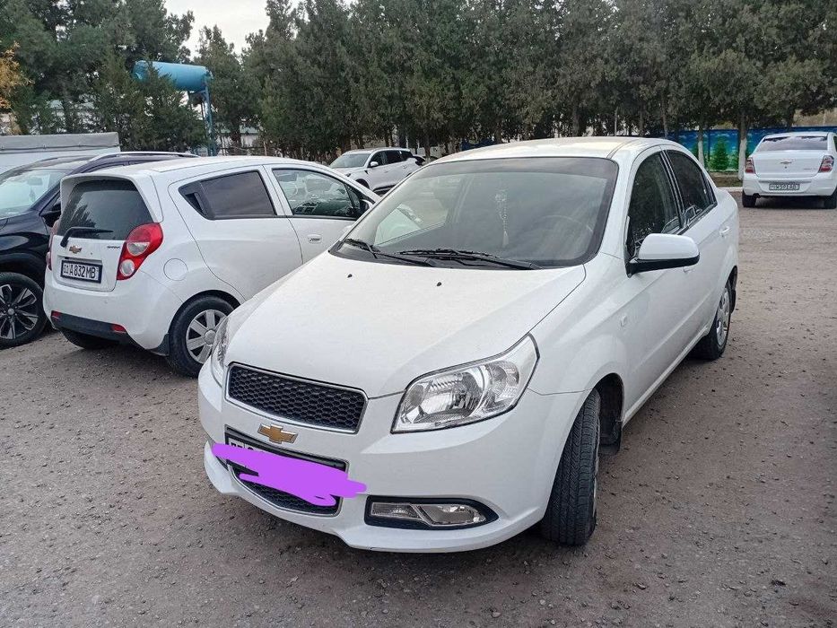 Nexia 3 2019 oq tozza