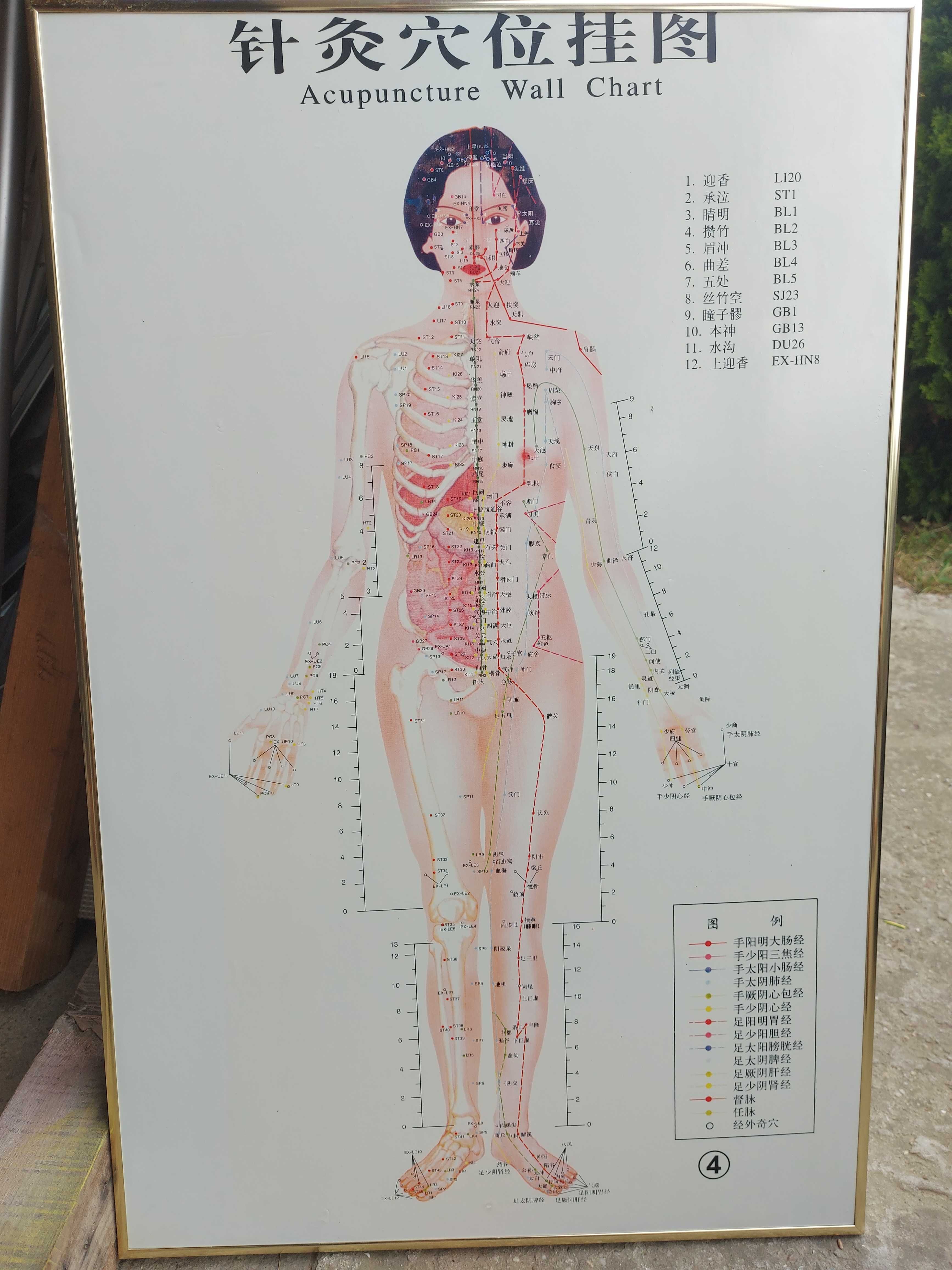 Tablouri harta acupunctura