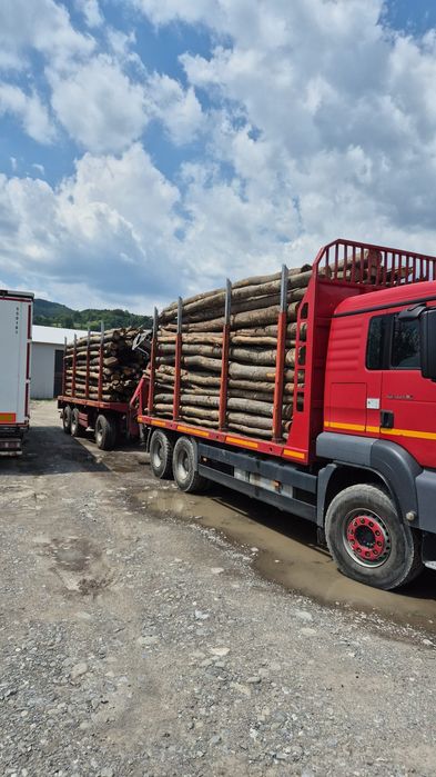 Lemn foc fag metru ster,metru cub și tocate