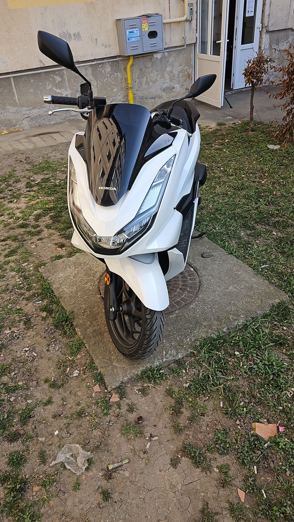 Honda pcx 125 inmariculat