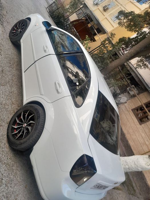 Жентра 2017  Оқ Белодимчатий