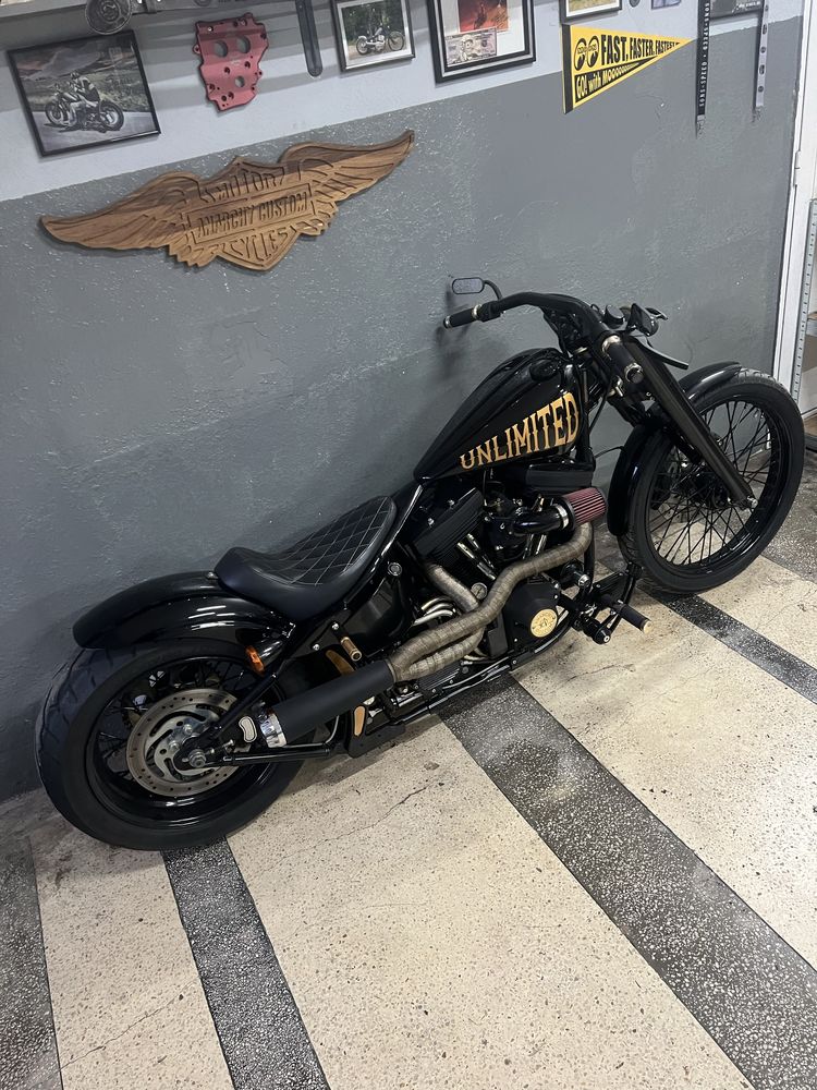 Harley-davidson softail custom