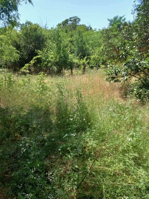 Продава се Къща в с. Градини, Област Добрич - 130 кв.м за 51 €/кв.м - Снимка #4