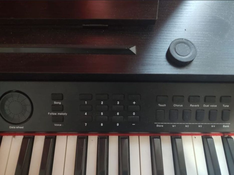 Pianina electrica de vanzare