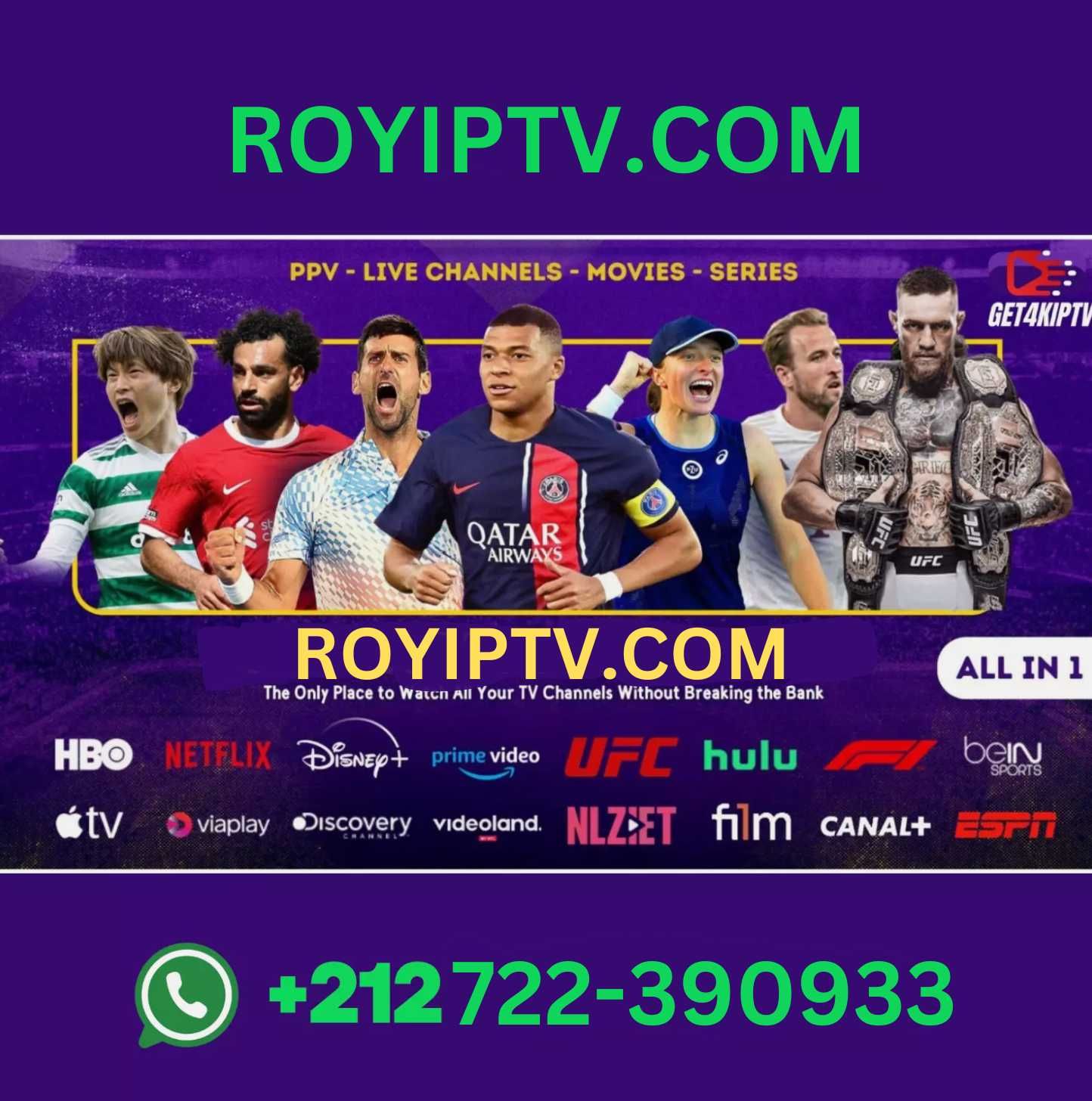 IP-TV Firestick/Mag Box/ Android Box Smart TV