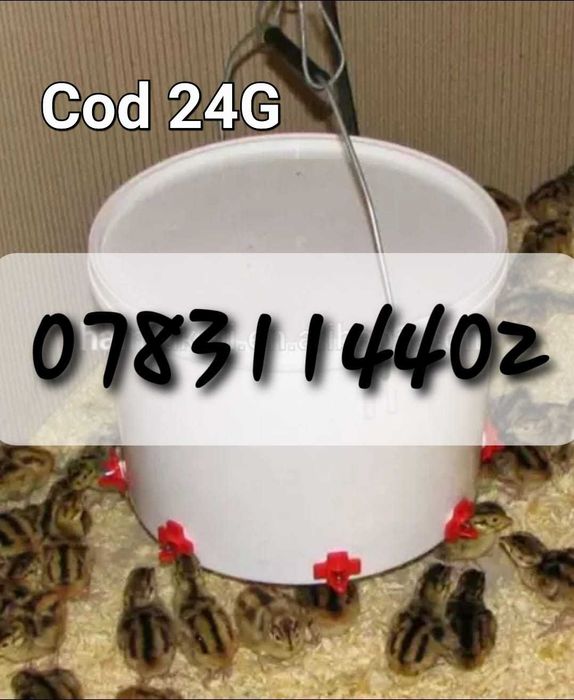 Adapatori pui gaini prepelite fazani- Cu montare rapida pe galeti- 24G